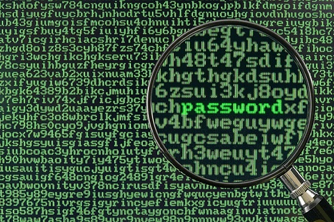 Store Your Passwords in Encrypted Software